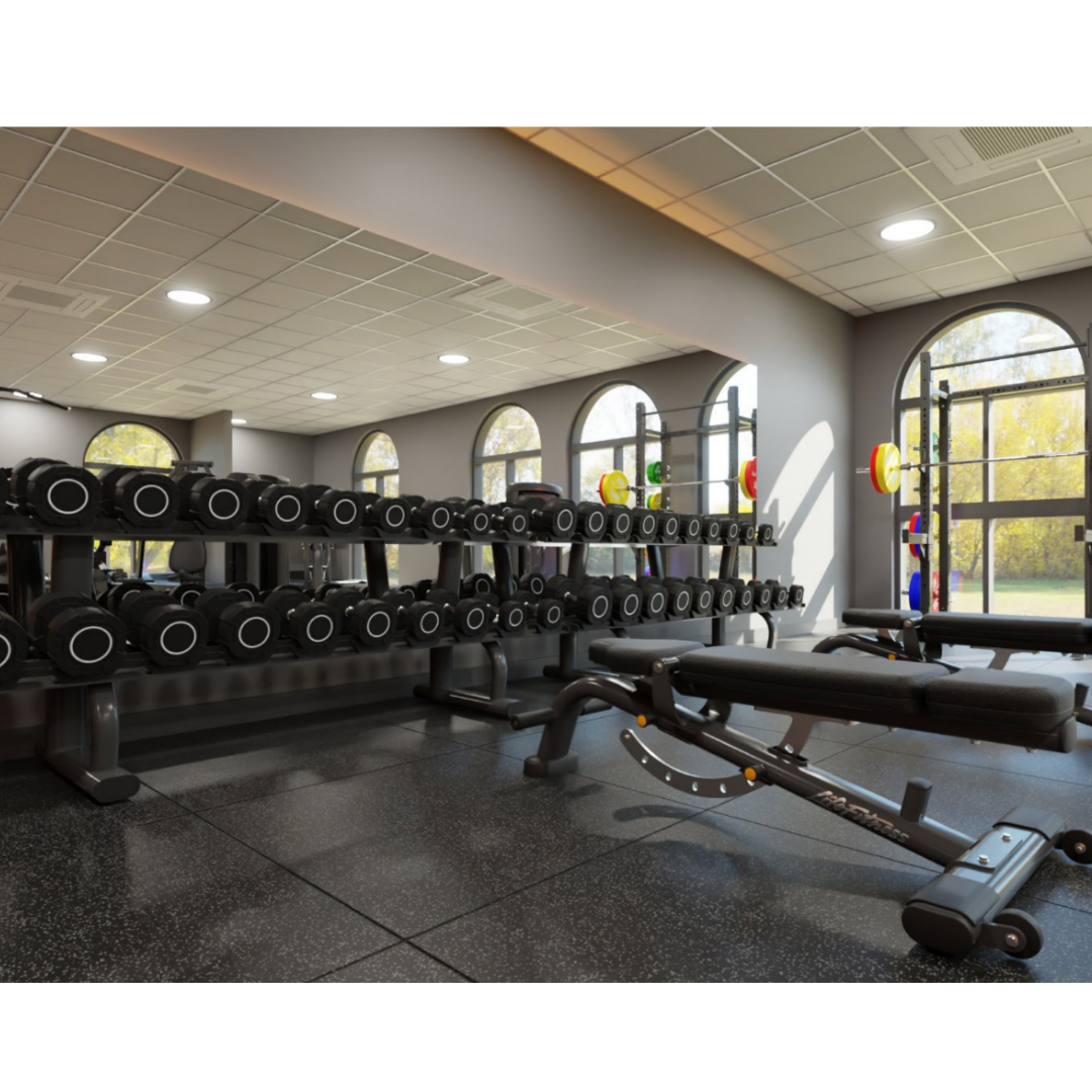 Chessington Gym Weights