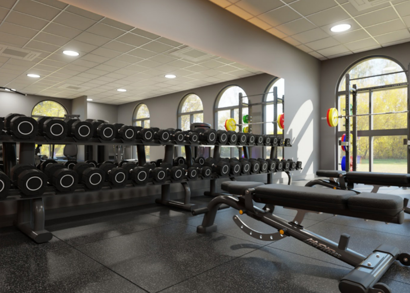 Chessington Gym Weights