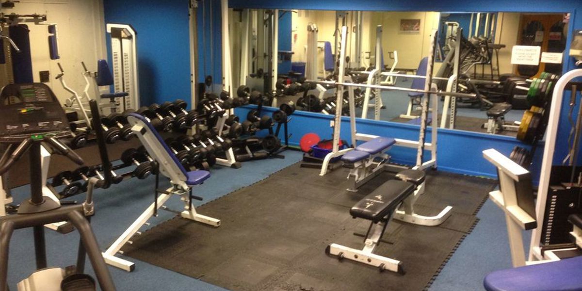 Chessington Gym2
