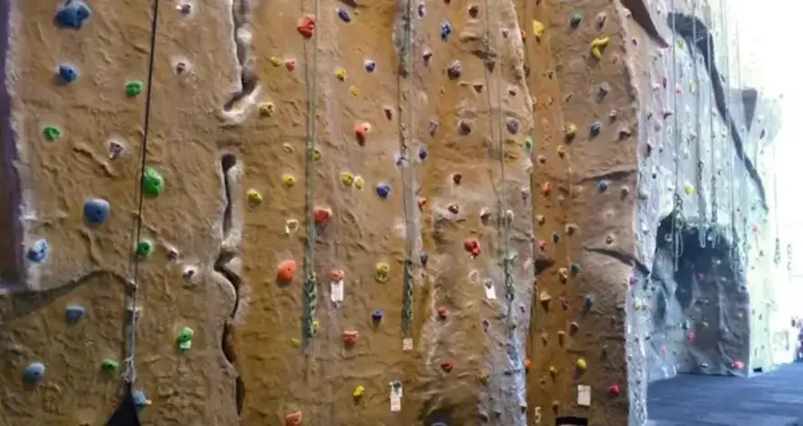 Climbing wall at Elmbridge