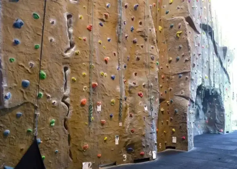 Climbing wall at Elmbridge