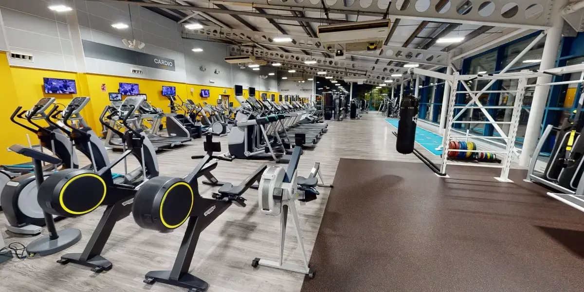 Gym with rowing machines