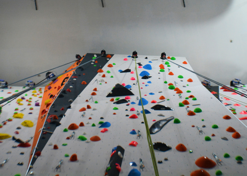 Elmbridge Wall