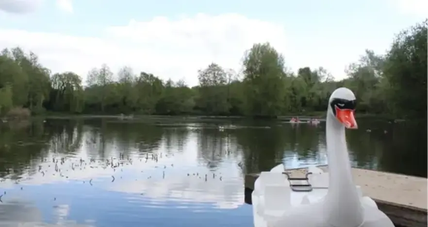 Swan pedalo on a lake
