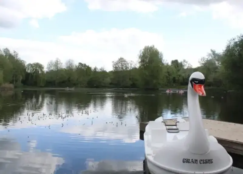 Swan pedalo on a lake
