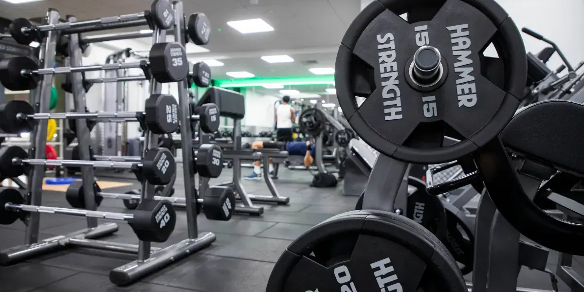 Hammer Strength Weights 1 (1)